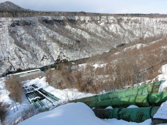 Ojiseishi Chitose Power Plant 1